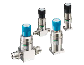 Regulator for process gas