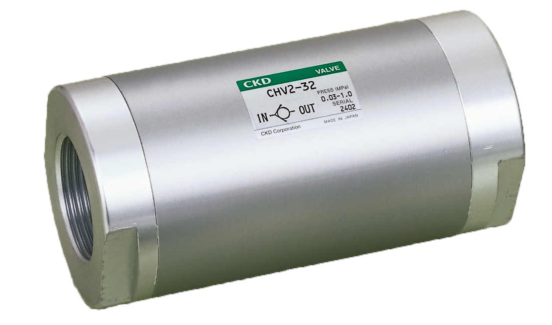 Check valve